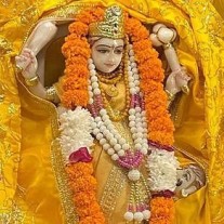 Baglamukhi Vidveshan Puja