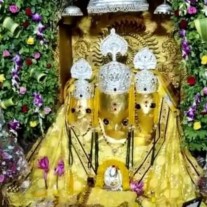 Baglamukhi Grah Badha Puja