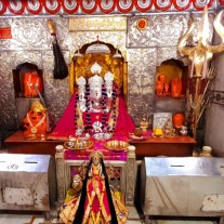 Baglamukhi Sara Badha Nivaran Puja